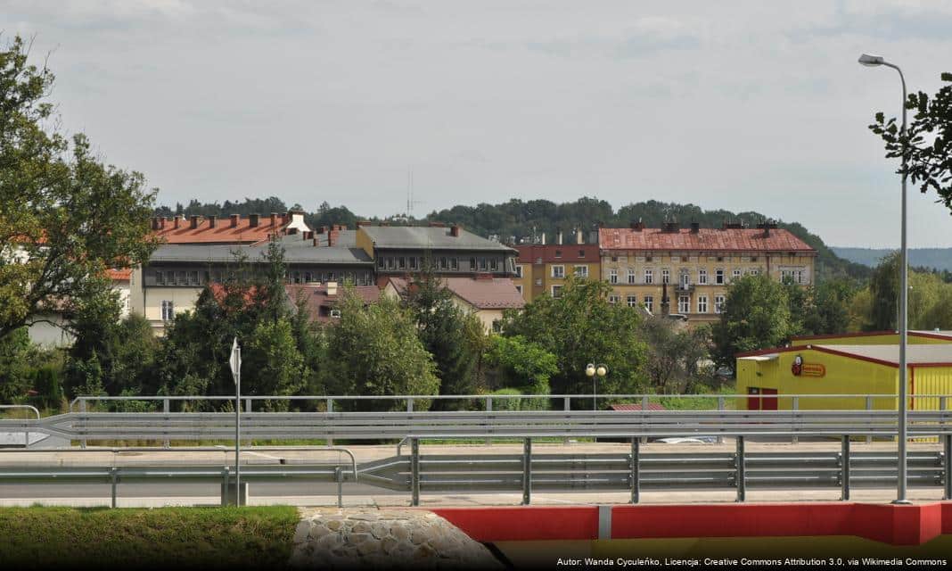 Uroczystość z okazji Święta Niepodległości w TPD w Gorlicach